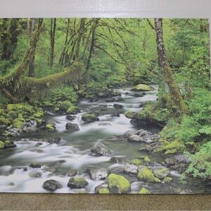 Nature Stream Canvas Art